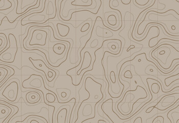 Topographic Contour Background