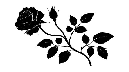 vector black silhouette of a rose, white background. Black and white rose silhouette design on white background.