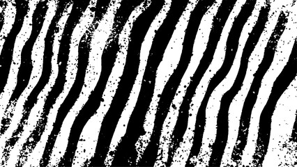 Texture with plain black and white zebra pattern, Black and white wavy stripes.  Abstract background. abstract graffiti shape in black and white, aligned with viewer’s perspective.