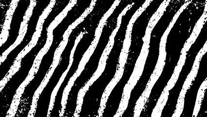 Texture with plain black and white zebra pattern, Black and white wavy stripes.  Abstract background. abstract graffiti shape in black and white, aligned with viewer’s perspective.