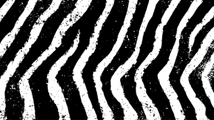 Texture with plain black and white zebra pattern, Black and white wavy stripes.  Abstract background. abstract graffiti shape in black and white, aligned with viewer’s perspective. © Song Long