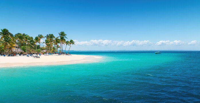Aerial view over Caribbean Sea and Exotic Palm trees on Bacardi Island Cayo Levantado Samana Bay Dominican Republic