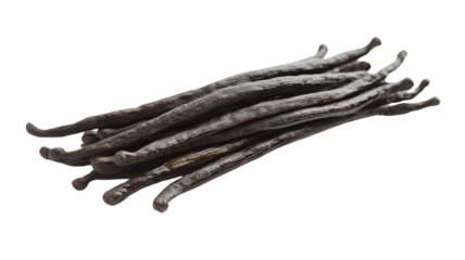 Bundle of vanilla pods resting on transparent background
