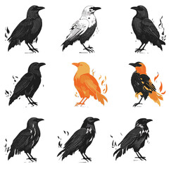 Fototapeta premium set of birds