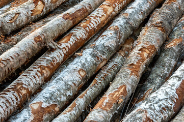 Logs stacked on top of each other