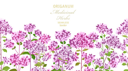 seamless border with origanum blooming herbs. meadow of oregano flowers