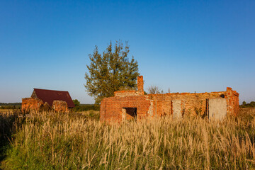 Remains of abandoned houses in an overgrown field, abandoned settlement