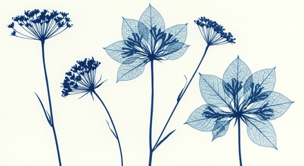 Cyanotype of Wildflowers and Leaves