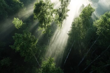 Fototapeta premium The concept of Earth Day is represented by a tropical forest background, highlighting the importance of preserving natural forestation and the role of canopy trees in the wild to promote