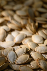 Harvesting pumpkin seeds in autumn with warm golden light highlighting their textures