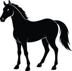 Morgan Horse Silhouette, Horse Silhouette Icon Vector