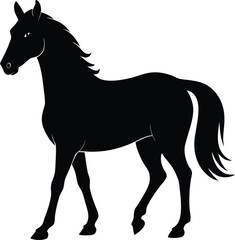 Morgan Horse Silhouette, Horse Silhouette Icon Vector