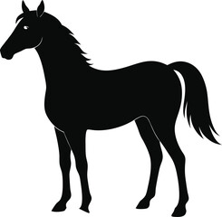 Obraz premium Morgan Horse Silhouette, Horse Silhouette Icon Vector