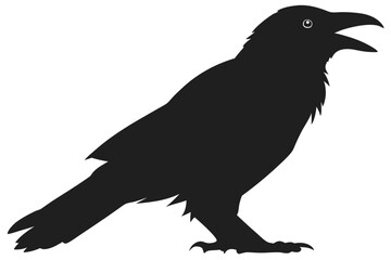 Fototapeta premium Crow Vector Artwork with Bold Detailing
