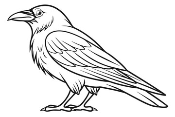 Elegant Crow Vector Art Design
