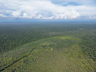 Aerial View of Peat Swamp Forest and Waterways in Aceh Singkil