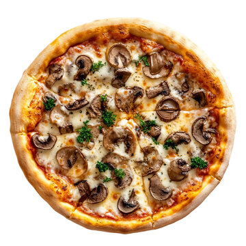 pizza funghi isolated on white background.