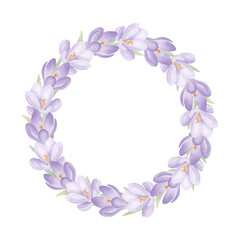 Purple crocuses wreath isolated on white. Spring flowers round frame with green leaves in watercolor style. Hand drawn design element for wedding invitations and greeting cards