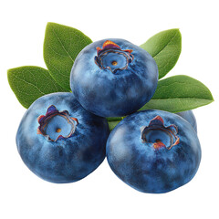 Obraz premium Fresh Juicy Blueberries with Green Leaves Close up Studio Shot High Resolution Image