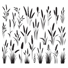 Tall Grass and Plants Illustration Silhouette Vector Graphic Design