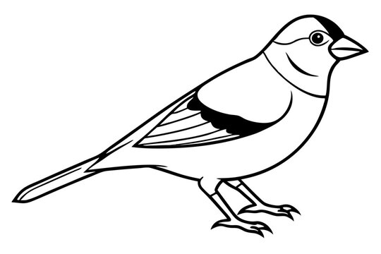 Elegant Goldfinch Vector Art. Nature&rsquo;s Beauty in Design