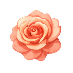 A delicate peach rose blossoms beautifully a symbol of romance and gentle beauty
