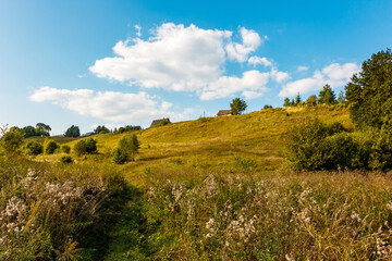 Fototapeta premium Village houses visible in the distance on a hill, pastoral rural landscape