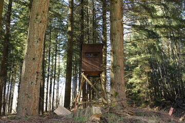 a high seat at the edge of the forest