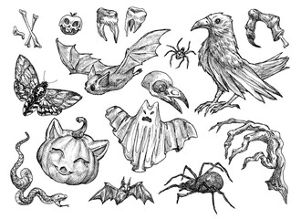  PNG Halloween themed illustrations on transparent background