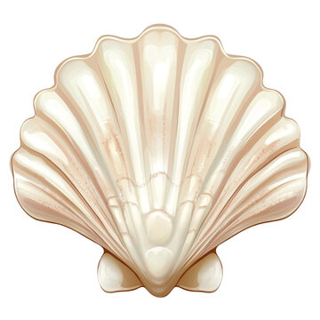 Elegant seashell a smooth creamy white treasure from the ocean