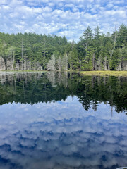 reflection of trees in lake with forest taken in a regional park in Quebec, Canada during summer 