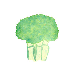 Broccoli hand-drawn in watercolor technique.