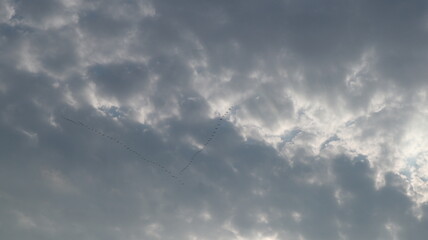 a flight of cranes flies across the sky among the gray clouds