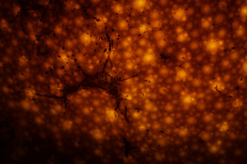 mandarin, tangerine, citrus, orange fruit, macro, close-up, fruit skin, texture, peel, bright...