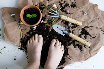 Childs hands on gardening experience with soil, tools, and plants