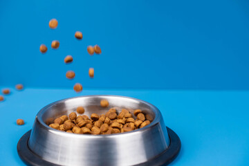 Dry dietary food for cats and dogs in a bowl isolated on solid color background. Healthy pet nutrition and feeding routines.