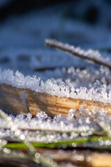 Frost and icy crystals after cold and frosty night show beautiful icy nature with sparkling ice crystals in morning sunshine melting away like snow in the sunshine
