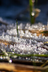 Frost and icy crystals after cold and frosty night show beautiful icy nature with sparkling ice crystals in morning sunshine melting away like snow in the sunshine