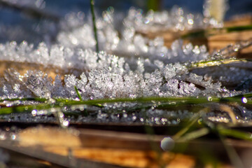 Frost and icy crystals after cold and frosty night show beautiful icy nature with sparkling ice crystals in morning sunshine melting away like snow in the sunshine