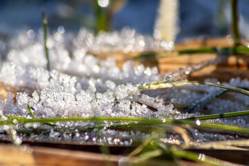 Frost and icy crystals after cold and frosty night show beautiful icy nature with sparkling ice crystals in morning sunshine melting away like snow in the sunshine