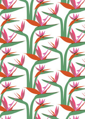 Seamless pattern with Bird of Paradise flowers. Tropical floral background with exotic hand-drawn stylized Strelitzia. Elegant vector illustration in flat style for fashion prints, textile, wallpapers