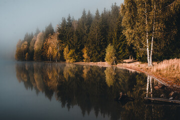 Autumn trees reflection