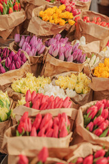 Vibrant spring tulips for sale