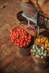 Vibrant spring tulips for sale