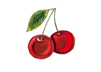 wiśnie  cherries  illustracia   malarstwo 