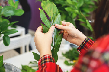 The florist is pruning the ruskus, the staff for the bouquet. Hands in close-up