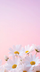 Fototapeta premium Serene sunset landscape with blooming field of daisies for nature-inspired designs