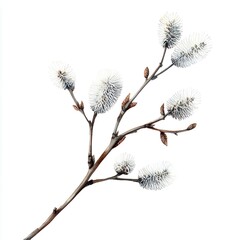 Watercolor Spring Branches