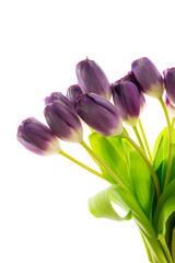 Elegant bouquet of purple tulips with fresh green leaves arranged for decoration or gifting in a bright setting