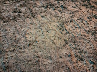 Abstract Earthy Texture of Soil and Sand Ground (2)
